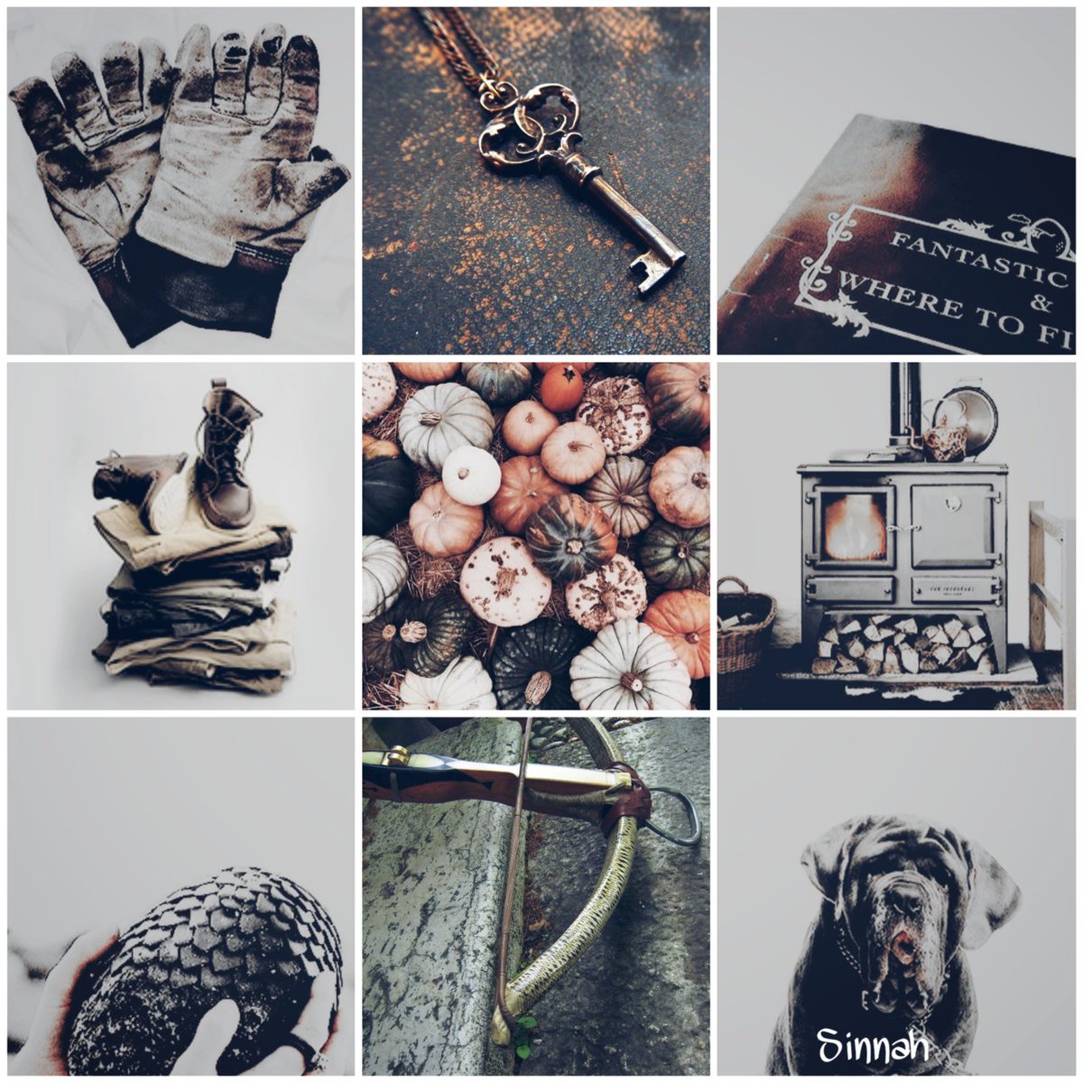 ° ༅ ˹𝙸 𝚜𝚑𝚘𝚞𝚕𝚍𝚗'𝚝 𝚑𝚊𝚟𝚎 𝚜𝚊𝚒𝚍 𝚝𝚑𝚊𝚝 ˼ ‹

Ⓡⓤⓑⓔⓤⓢ Ⓗⓐⓖⓡⓘⓓ 

⟼ ᴘʀᴏғᴇsᴏʀ ᴅᴇ ᴄᴜɪᴅᴀᴅᴏ ᴅᴇ ᴄʀɪᴀᴛᴜʀᴀs ᴍáɢɪᴄᴀs. 
⟼ ᴀᴅᴀᴘᴛᴀᴄɪóɴ ᴀ ᴄᴜᴀʟǫᴜɪᴇʀ ᴀñᴏ. 
⟼ ʀᴏʟ ᴍᴇᴅɪᴏ ʏ ᴇxᴛᴇɴsᴏ.
⟼ ᴛʀᴀᴍᴀs ᴘᴏʀ ᴍᴅ.

ʀᴛ.