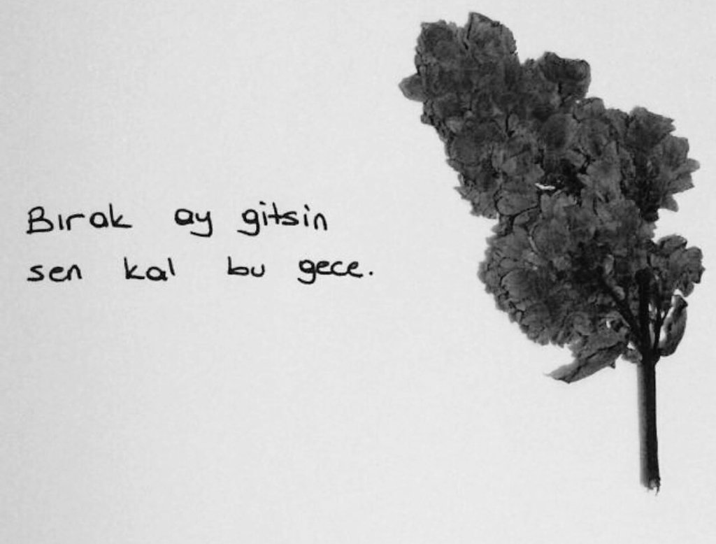 🌒'

<a href="/gozdemutluer/">gözdemu</a> • #GözdeMutluer