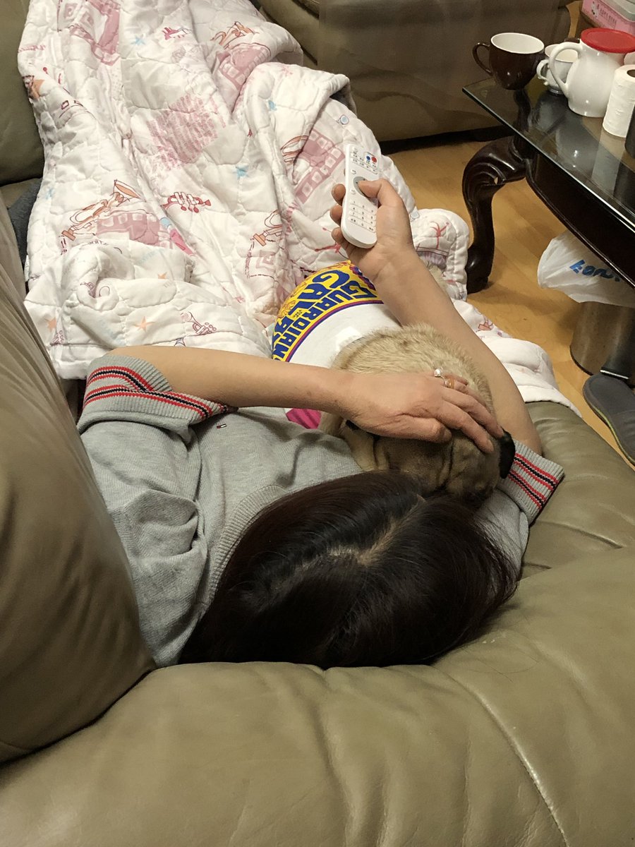annahuango's tweet photo. My mom: I hate dogs. I never liked them and never will. Your dog, your responsibility. 

Also my mom: https://t.co/ir9HQSznOu