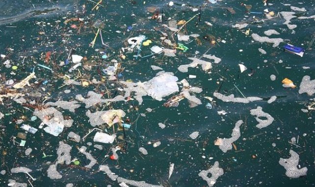 senecaciamemes's tweet photo. Sad to see our waters so polluted 😔 https://t.co/RMthBfdZra