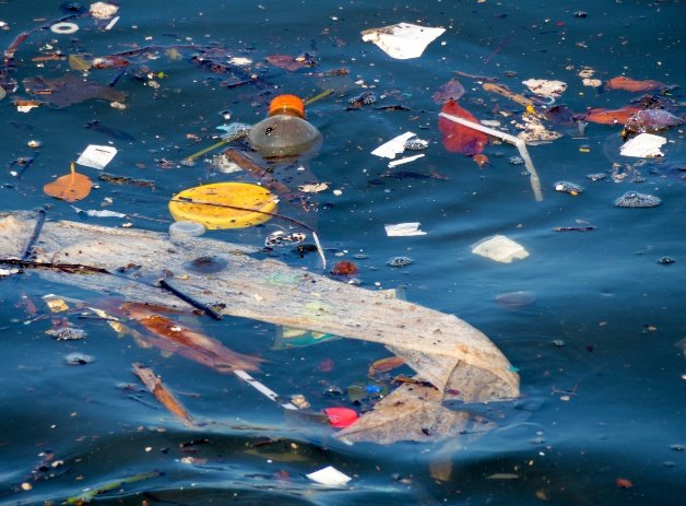 senecaciamemes's tweet photo. Sad to see our waters so polluted 😔 https://t.co/RMthBfdZra