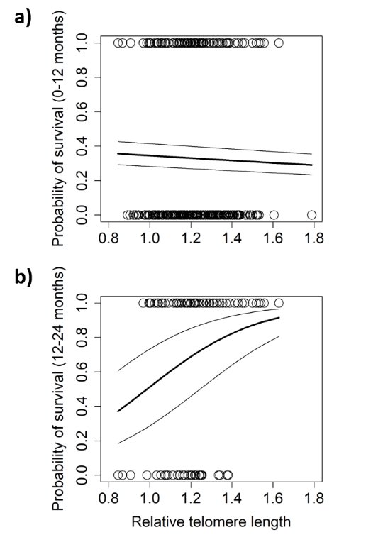 MonashBiol's tweet image. @JustinEastwood9 highlights that the association between Telomere Length and survival depends on the life stage for which survival is measured. onlinelibrary.wiley.com/doi/10.1111/me… @AranzNataly @AP_BirdBehavEco @Roasty247 @colourfulmarie #MonashEvolution #MonashEcology