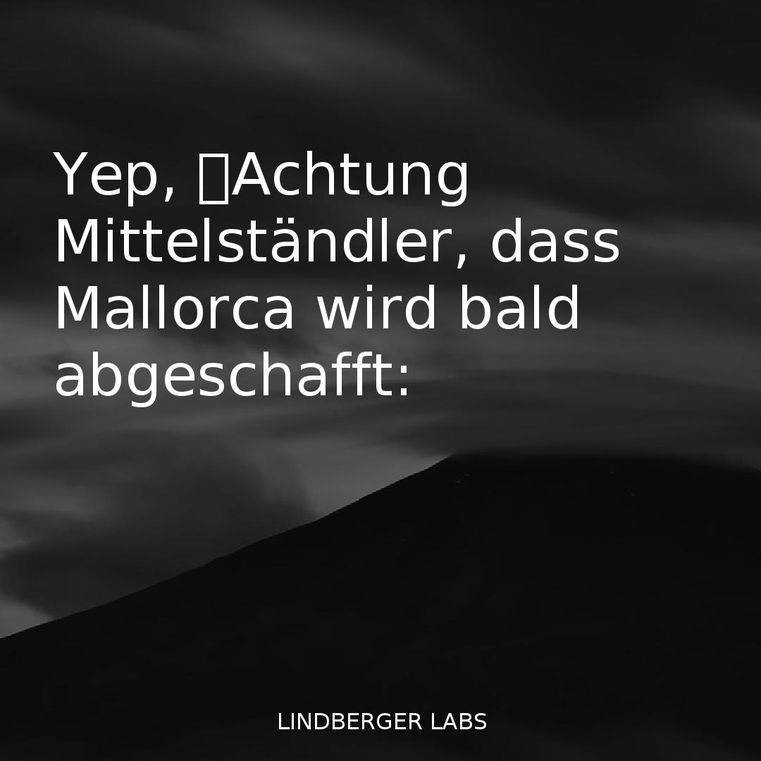 thorlindberger's tweet image. #mallorca #unternehmensgründung #globalpositioningsystem #grummans-2 #trivago #mallorcaberger