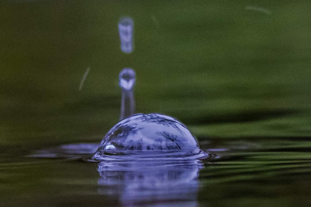 loisje1's tweet photo. On a rainy day, go with the flow
#catchingraindrops https://t.co/li8wp1yVfF