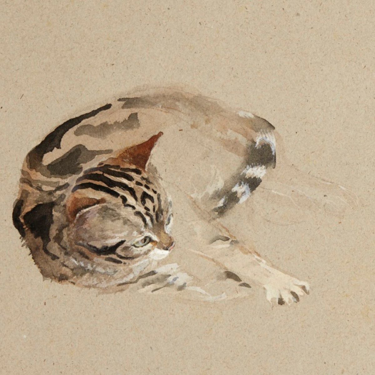 Arthur Rackham - Watercolor of a cat - 1911