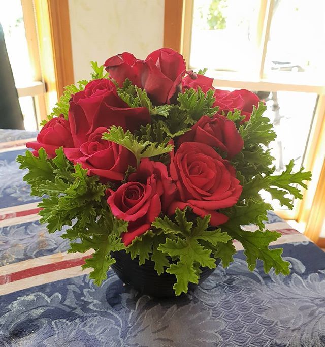 healthywealth34's tweet image. It's never easy making that decision and saying goodbye to those you have supported for years.. I'll miss you two 💙💚 #supportworkerlife bit.ly/2RtqNs3