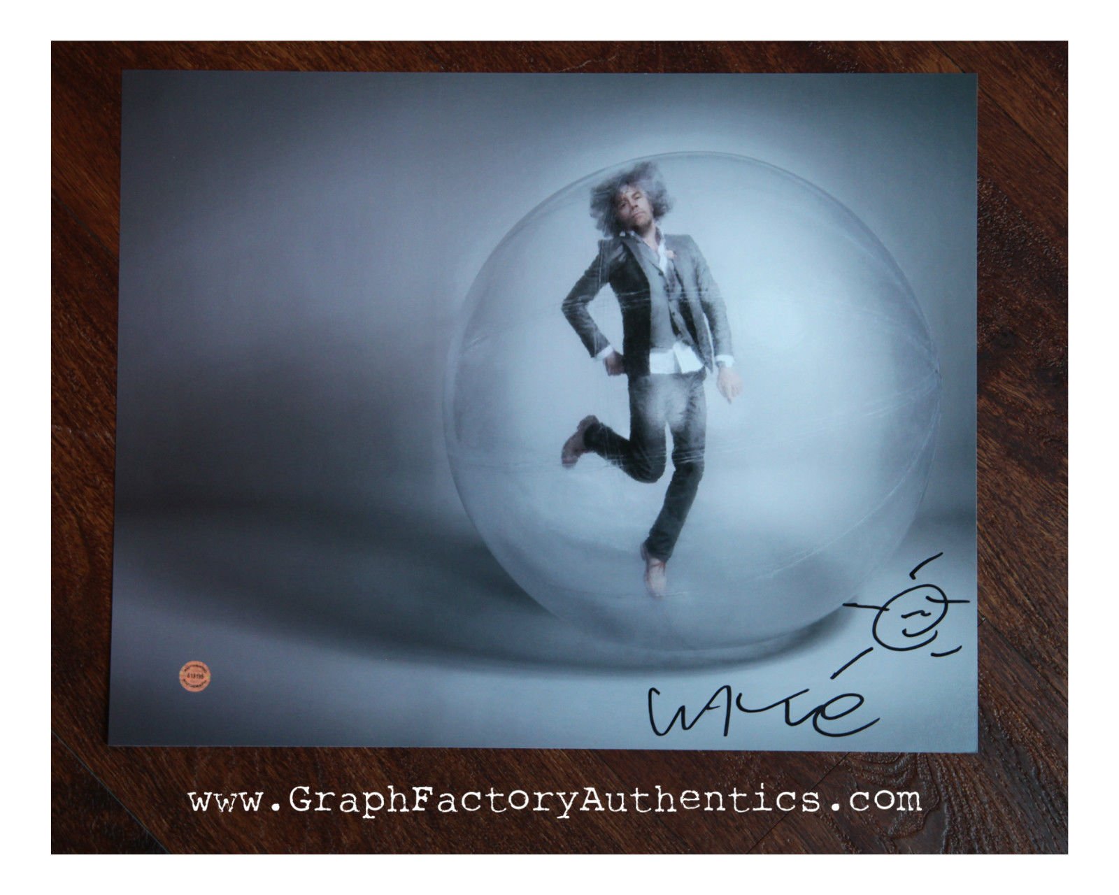 Happy Birthday, Wayne Coyne!   