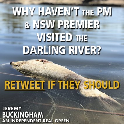 BuckinghamJN's tweet image. Why haven't the PM or NSW Premier visited the Darling River?  
Retweet if they should!
#nswpol #auspol