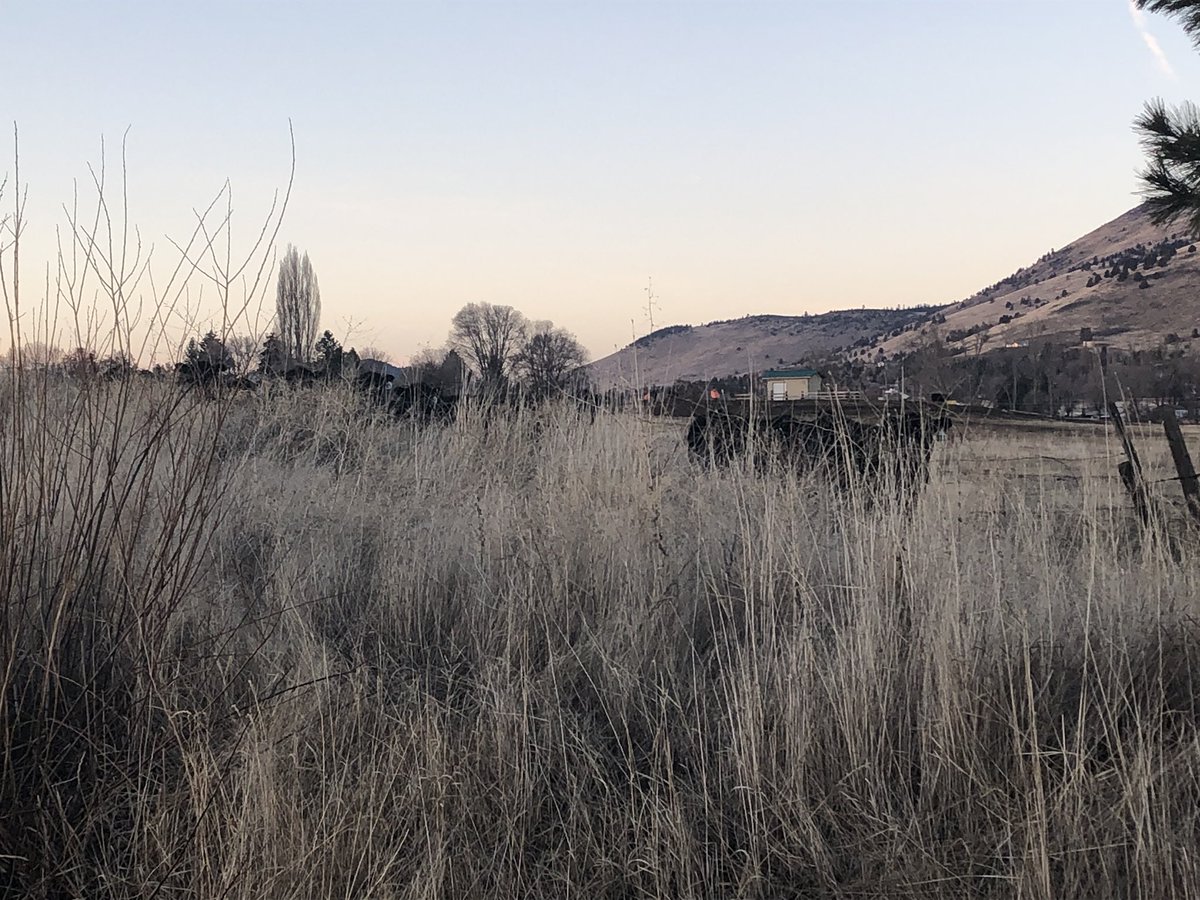 nichardin's tweet photo. The cows were watching #runfaster #totalcows @marcalbaladejo_ @johnhu1me @karenainley1 @albertsampietro https://t.co/sckpJZM04p