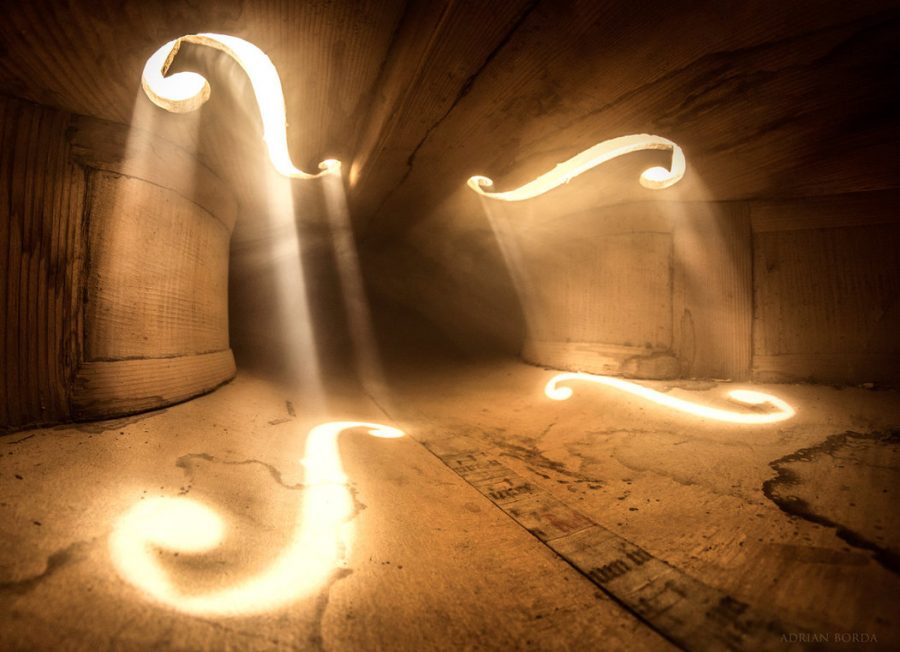 openculture's tweet image. Behold Mystical Photographs Taken Inside a Cello, Double Bass & Other Instruments openculture.com/?p=1055877