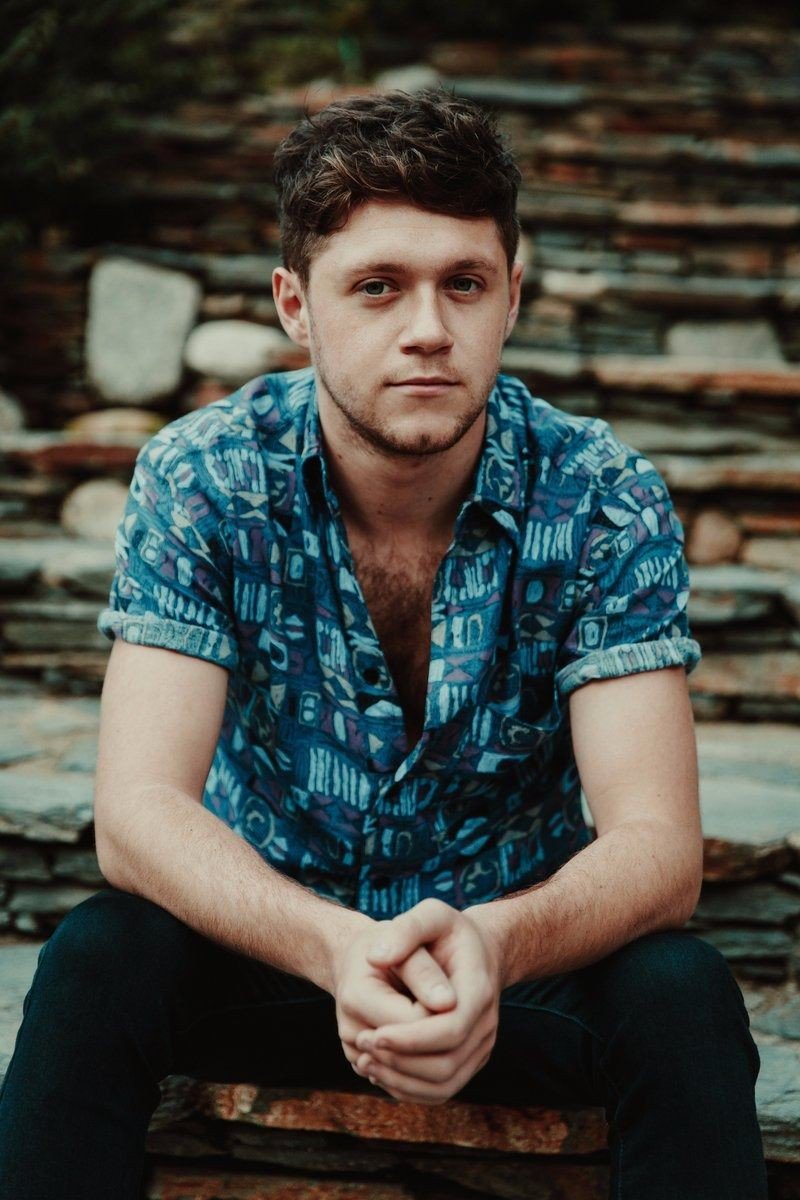 mutfandom's tweet image. niall james horan (1993)