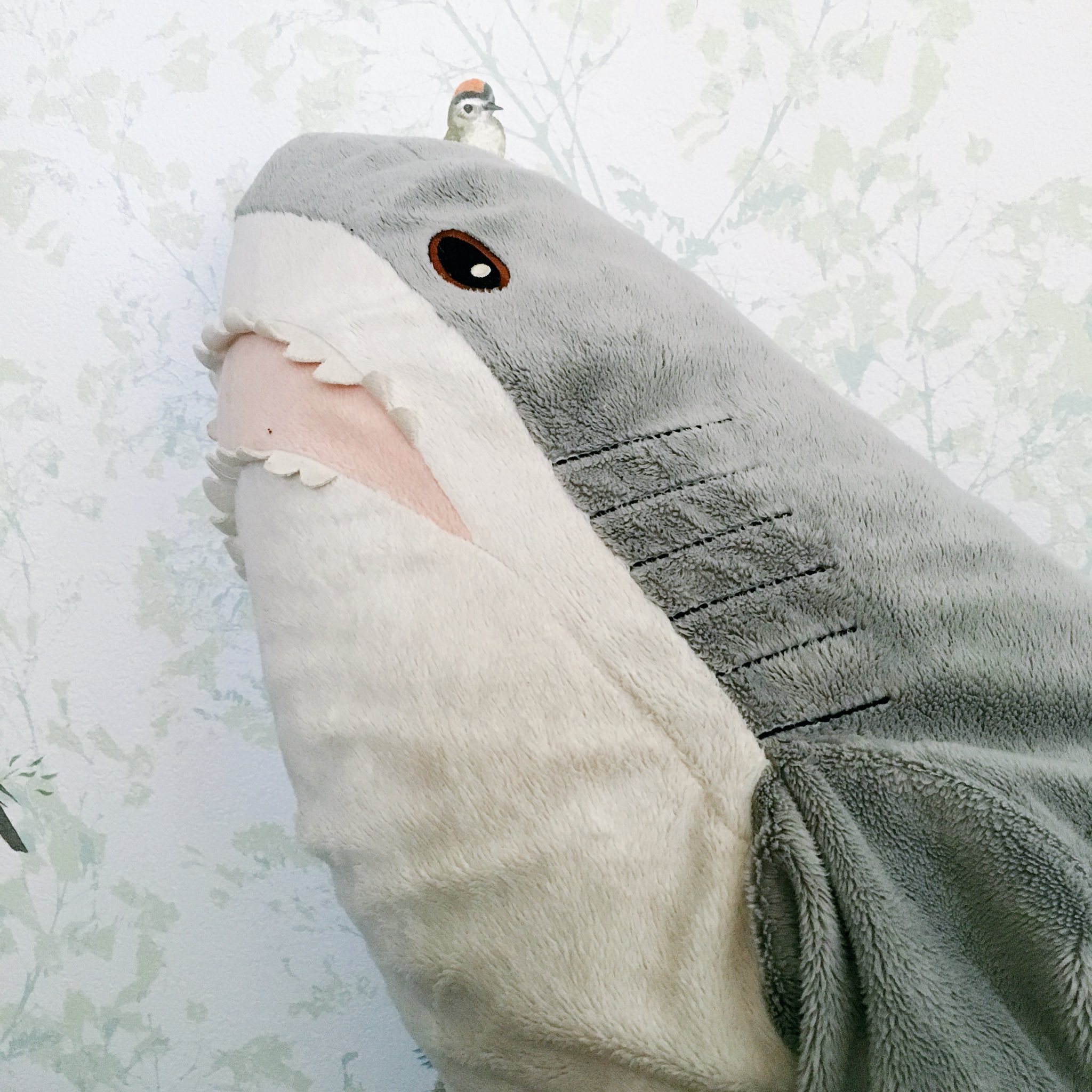 かじろ Ikeaのサメちゃん話題だけどウチに居るのはグレーサメちゃんで 今もうグレーの子は売ってないのかなあ T Co 7buryz59bw Twitter