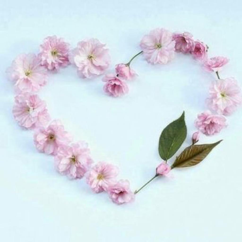 abmr61's tweet photo. ☀💖رؤيةالشروق مع نسمات الصباح الحانيه الرقيقه تثيرفي نفس محبي الجمال مشاعرحسنه بل وتجلب التفائل والأستبشاربأنه برحيل الظلام سترحل الهموم وعودةالضياءستعود
معه بشائرالخيرفالحمدلله على نعمه وعطاياه‍ الجزيله🍂🌸صباااح الخير
#حافظ الود👑مريم @RrOi18 https://t.co/n4OGOJJm6G