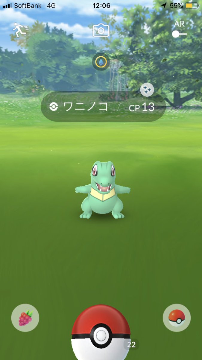 組長 Pe Twitter ポケモンgo 色違いワニノコget 早速進化させました よろしくね ダイルちゃん カモノハシねぇーさんの分の色違いワニノコ探してきます ポケモンgo コミュニティデイ 色違いポケモン ポケモン進化 ワニノコ オーダイル