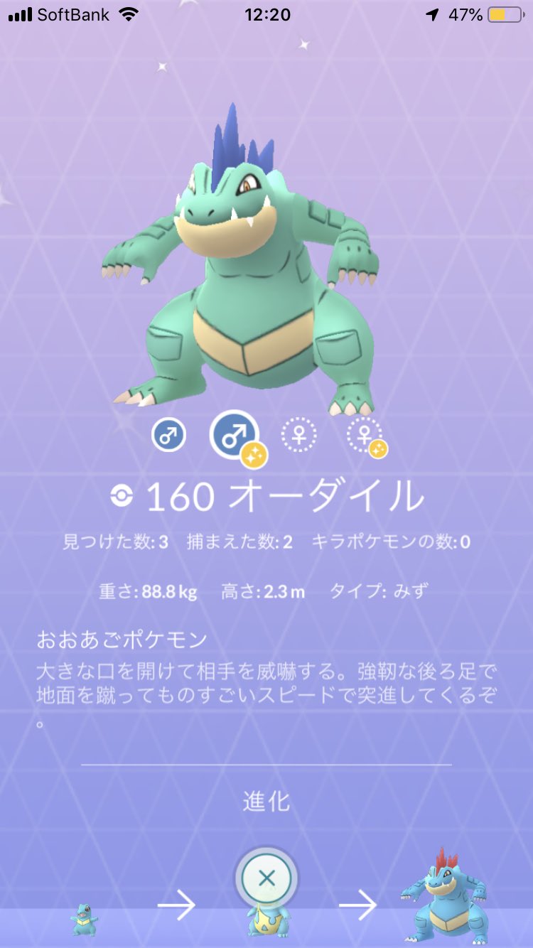 組長 ポケモンgo 色違いワニノコget 早速進化させました よろしくね ダイルちゃん カモノハシねぇーさんの分の色違いワニノコ探してきます ポケモンgo コミュニティデイ 色違いポケモン ポケモン進化 ワニノコ 組長 ポケモンgo 色違いワニノコget 早速進化させました よろしくね ダイルちゃん カモノハシねぇーさんの分の色違いワニノコ探してきます ポケモンgo コミュニティデイ 色違いポケモン ポケモン進化 ワニノコ