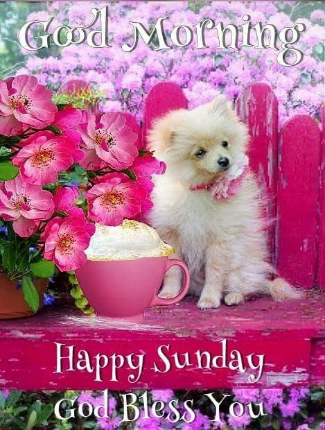 Good Morning☀⛅💕☀Sunday⛪My Lovely Friends👭👬👫: @ImperfectGirl07 @imperfectwomen @imintok9 @Loc61 @vickielizzy11 @masauki431 @GW4mz @MyintkoM @golden39792934 @marry7972 @89Pollolin @GogoiRanju @Sanju_Verma_ @tina_acharya @vinirish @_Priyanka_Gupta @krishnashashi1 @DRKUMAR25