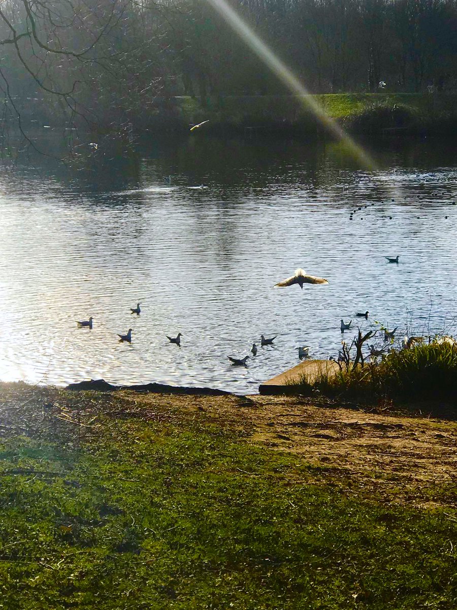 30Photography's tweet photo. “Seize the moment because some opportunities don’t come twice” #SundayMorning #SundayMotivation #Nature #birds #January2019 #Quoteoftheday #photography #Photooftheday #Photographyisart #ThirtyPhotography https://t.co/KRRA4Pcnr4