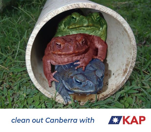 Katter's Aus Party tweet media