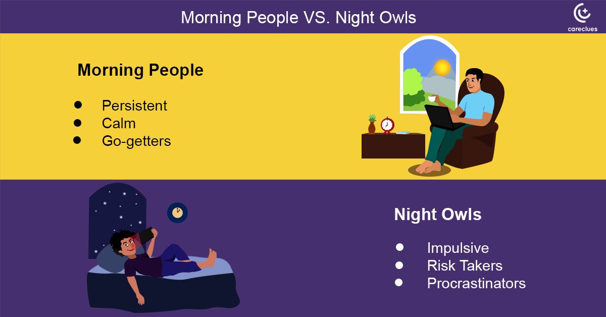 How do i know if i am a night owl?