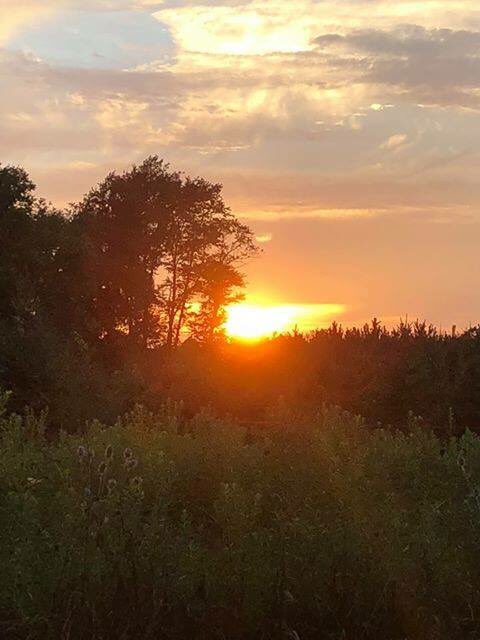 Possum Lodge Cabins On Twitter How S Winter Treating You Miss