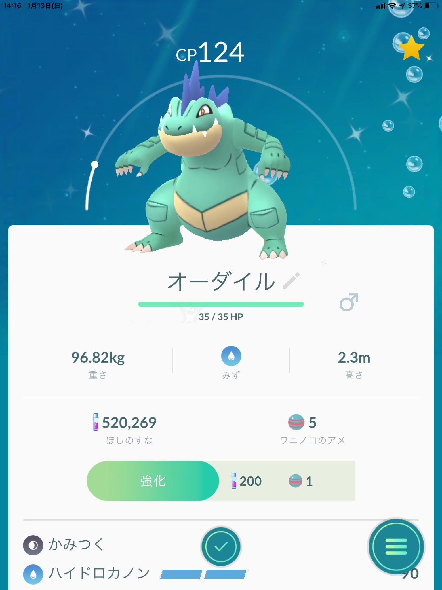 Twitter 上的 雑貨と古書の小さなお店 りすとのしゅ なんとかオーダイルまで でも Cpが 涙 ワニノコ オーダイル オーダイル 色違い T Co Pymxnz18cr Twitter