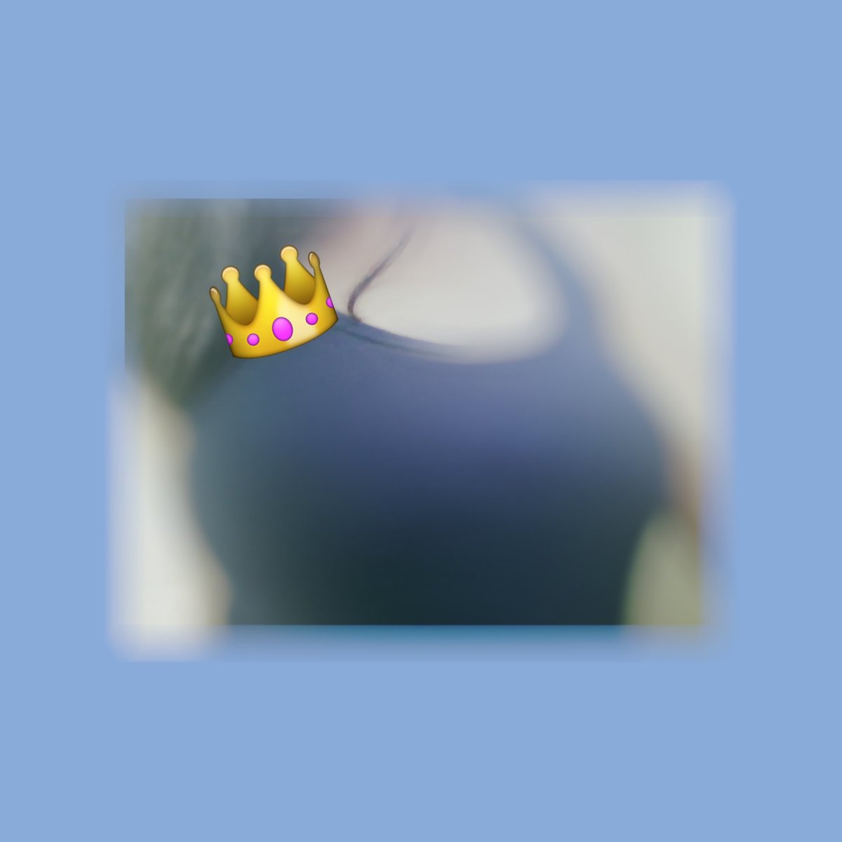 Bella tweet media
