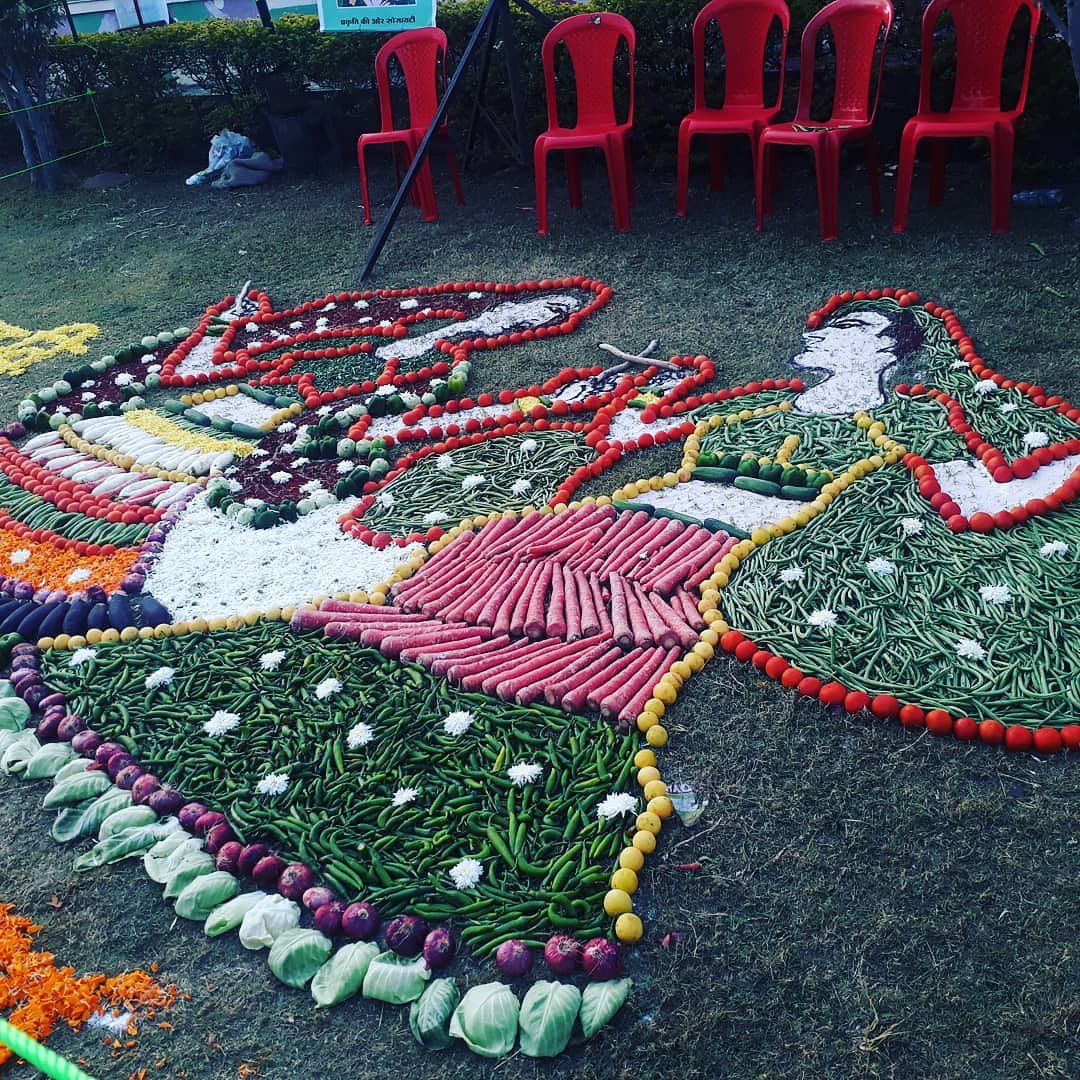फूल सब्जी प्रदर्शनी रायपुर।....