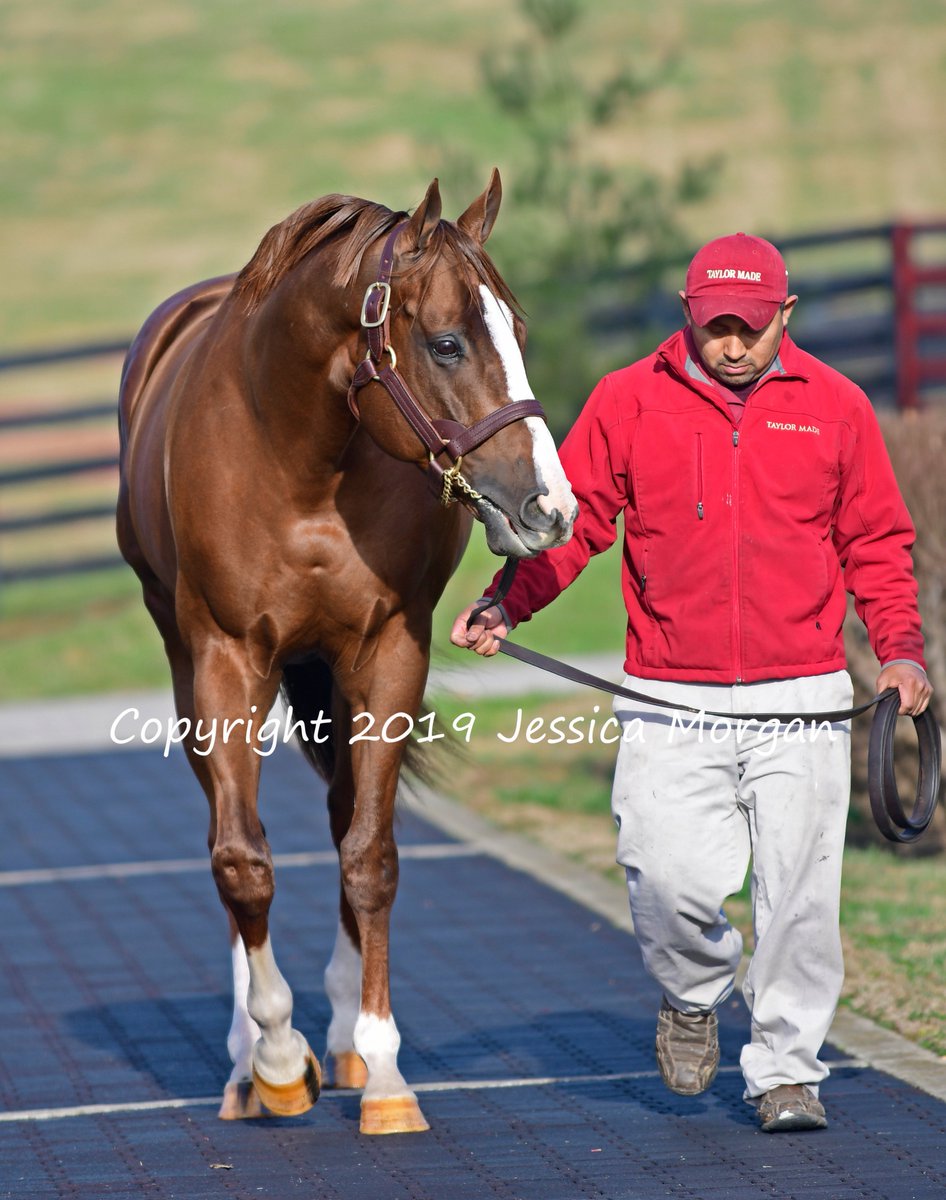 Jessica Morgan tweet media