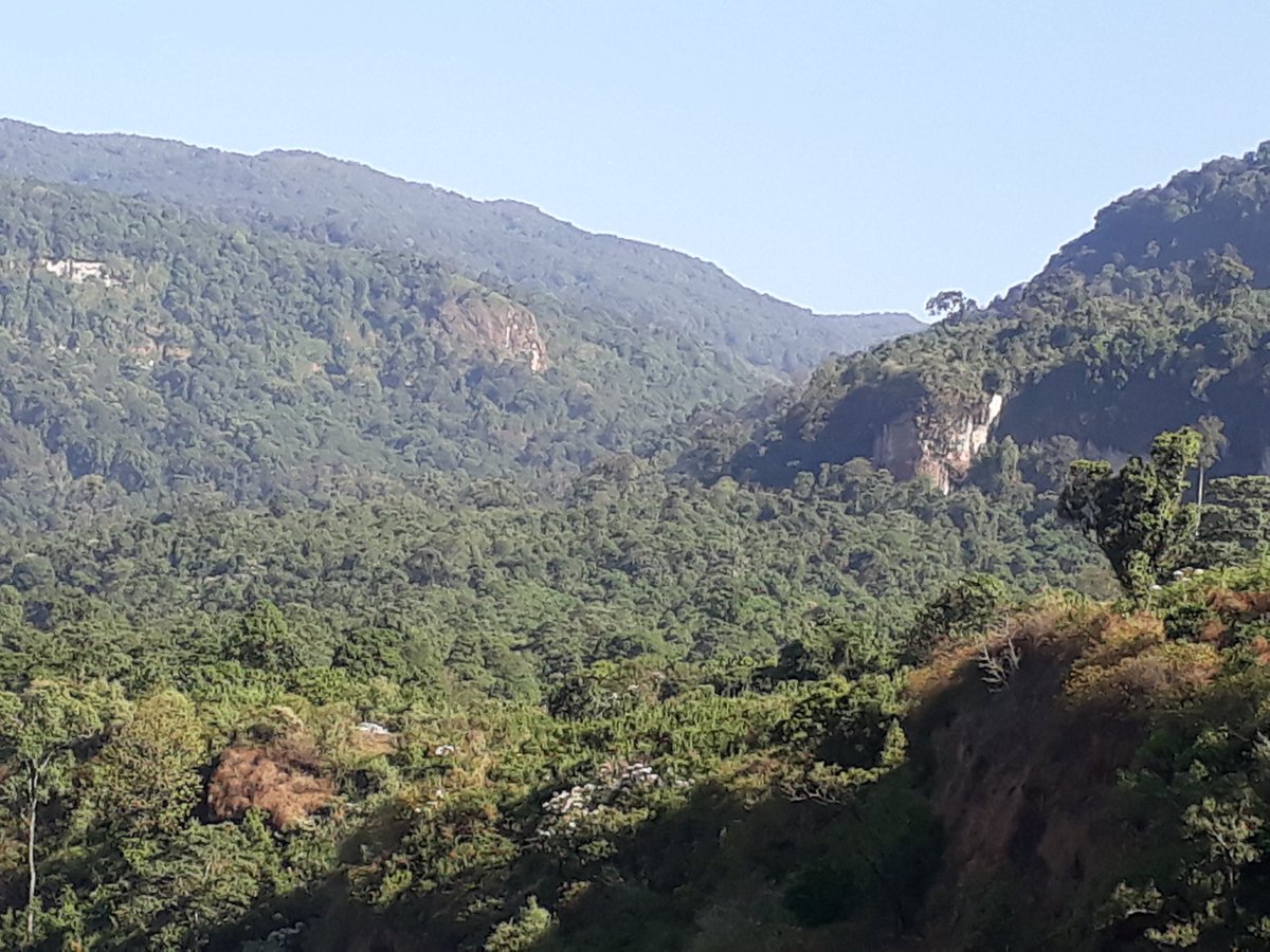 SJKR8's tweet photo. If you are interested in my trip to Uganda you can see more pics @coffeeandcare on Twitter and Facebook ♡ #TheCariadProject https://t.co/9b7wyAjrli