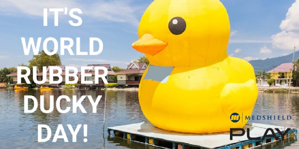 MedshieldSA's tweet photo. Have we gone quackers? No! There really is a world day in celebration of rubber duckies. Most of us played with rubber ducks in the bath as kids. Improve your mental health by getting in touch with your inner child today.

#MedshieldAwareness #MentalHealth #RubberDuckieDay https://t.co/fim1S6w9jY
