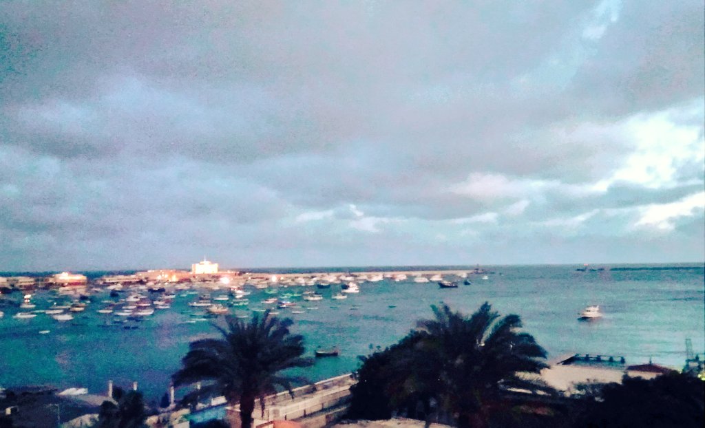 بلكونة البيت.. العلاج الأمثل للاكتئاب 👌💙