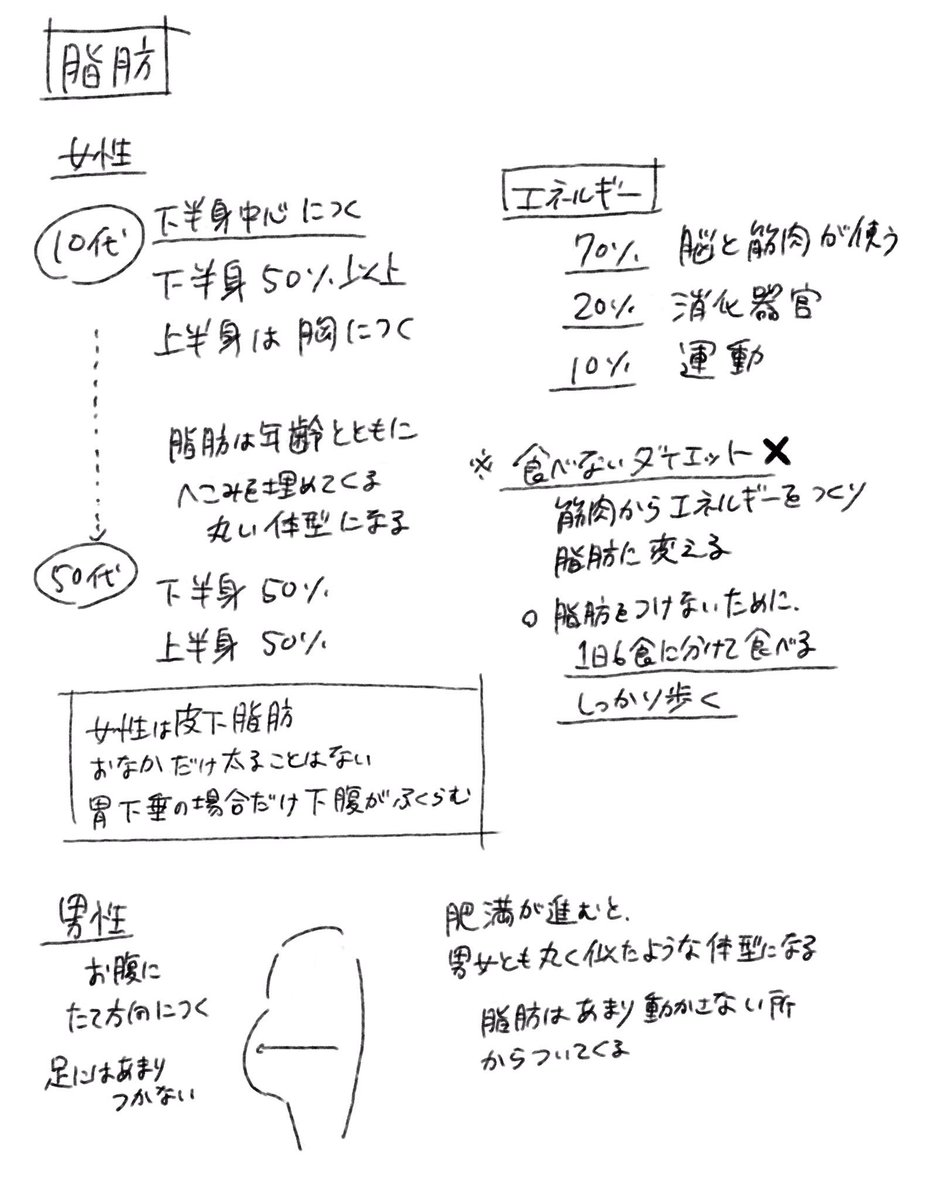 美術解剖学メモ01
【男女の性差】

いろいろ聞いてきたのをまとめました

#sketch 