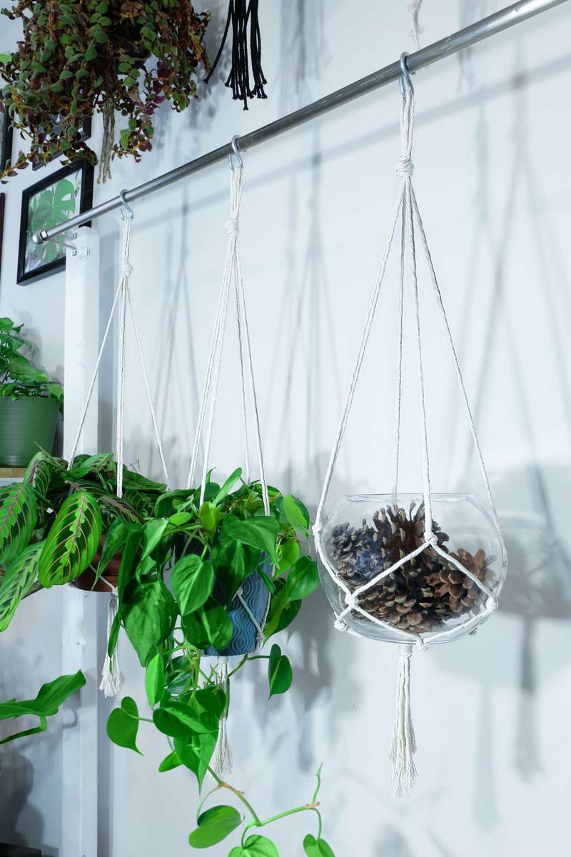 TortueCrafts's tweet photo. SIMPLE MINIMALIST COTTON PLANT HANGERS!

Available at https://t.co/YWxE1fQ8I5

#planthanger #hangingplanter #cottonrope #houseplants #plants #etsy #etsyseller #etsyshop #etsystore #macrame #etsyhandmade #indoorplants #minimal #handmade #minimalist #minimalism https://t.co/LUn5LFpjQQ