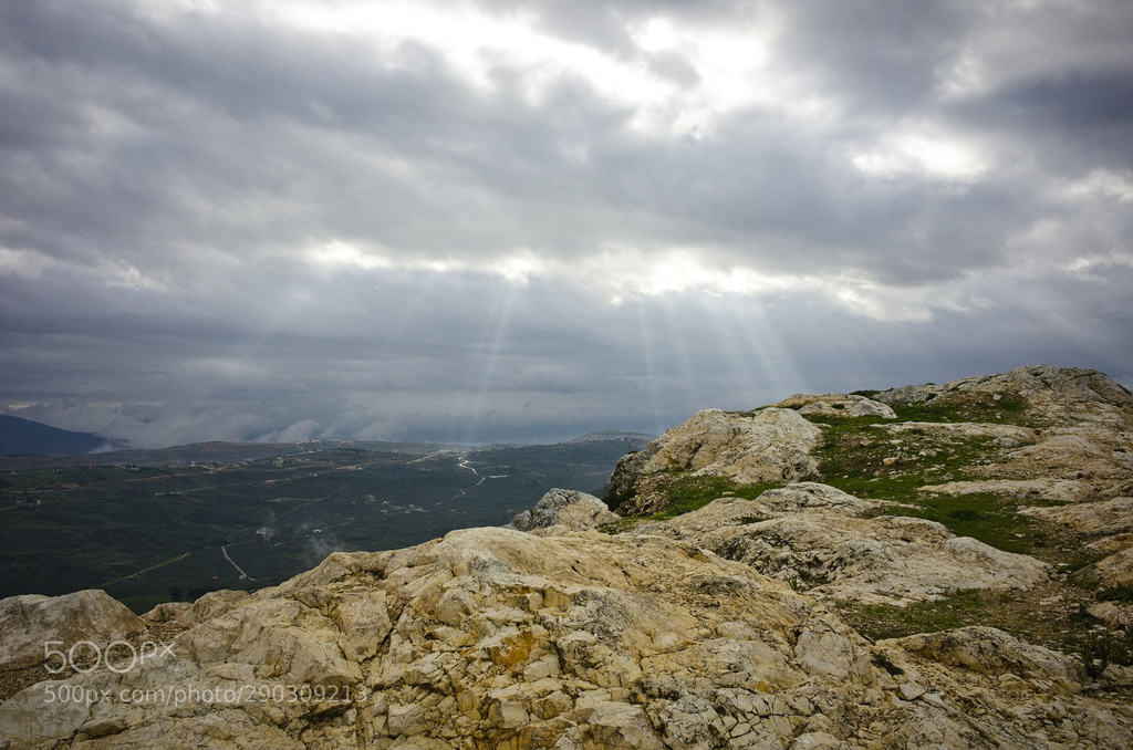 weBikepacking tweet media