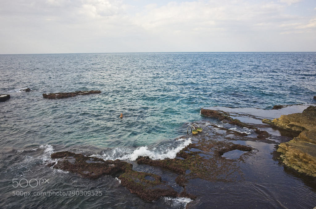 weBikepacking tweet media