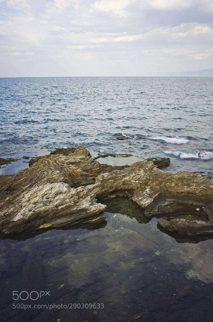 weBikepacking tweet media