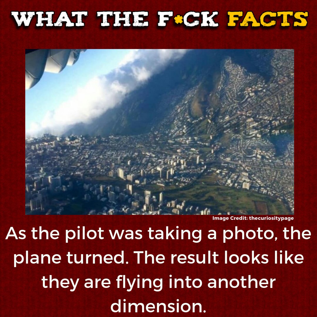 What The F*** Facts (@whattheffacts) on Twitter photo 