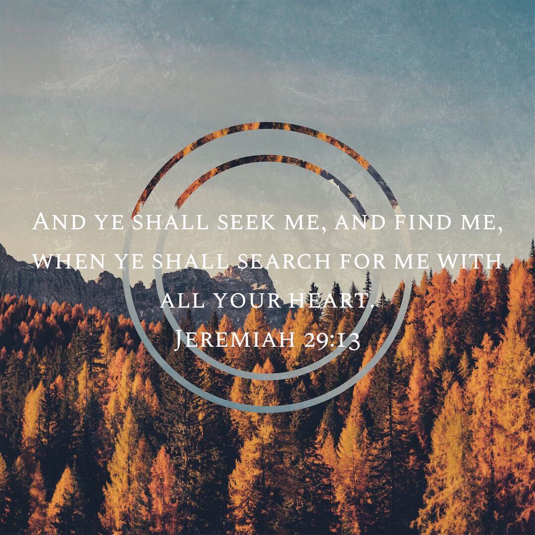 D\G/S (@carpexvita) on Twitter photo 