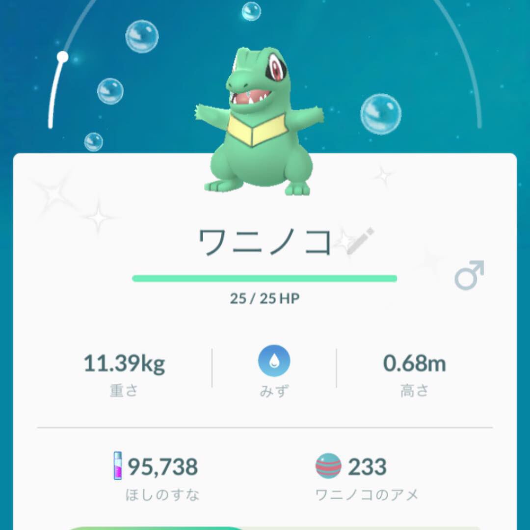 ポケモンgoワニノコ