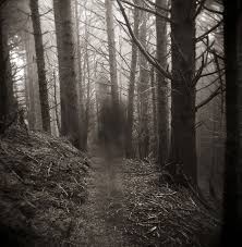 HauntingWeWilGo's tweet photo. GHOST HUNTING CHECKLIST:

1. Your Paranormal Film Crew
2. Extra Batteries
3. Spirit Box
4. Rosary Beads
5. Snacks
6. Bottled Waters
7. A Wooden Cross
8. A Bible
9. Emergency Candles
10. An Exorcist
11. Holy Water
12. Extra Lighting
13. Cell fon charger

Did l forget anything?😎 https://t.co/mitgl6c6HE