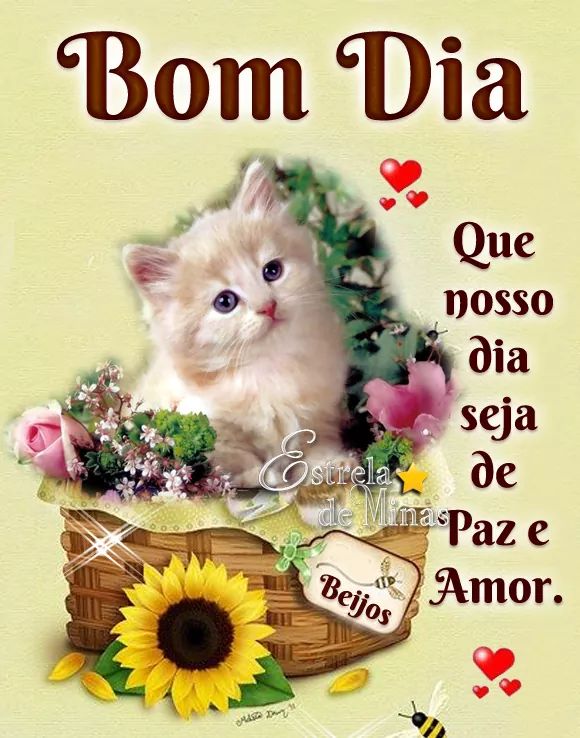 Rany tim beta (@raineubiap) on Twitter photo 