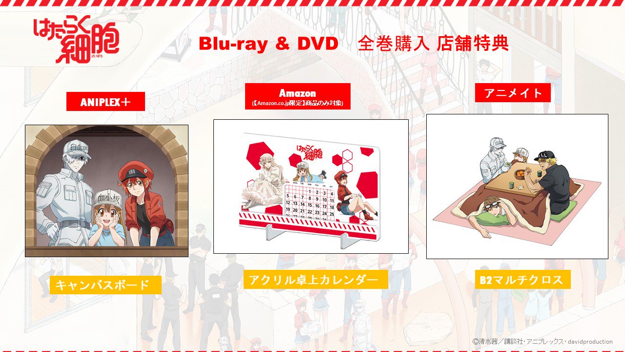 はたらく細胞』公式 on X: はたらく細胞』公式 on X: