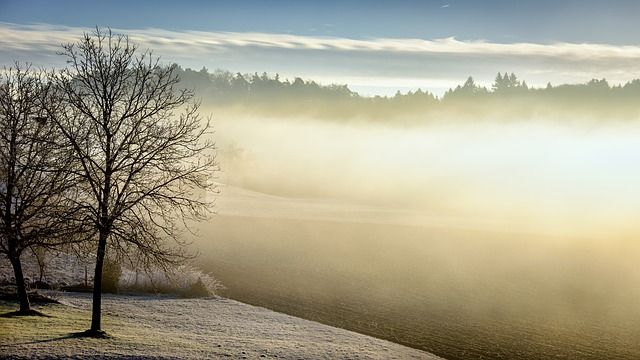 ContentQueensUK's tweet photo. Love winter mornings...
#sunday #sundaymorning #sundaymorningsky #sundaymorningwalks https://t.co/ktUMVk7FTg
