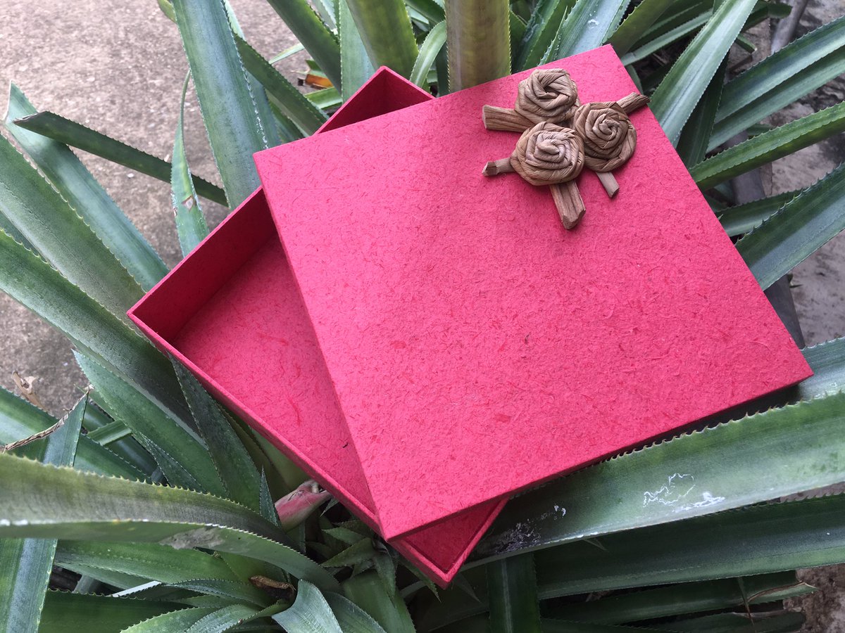 fiberpineapple's tweet image. rt &amp;amp; follow me ฝากฟอลหน่อยแอคนี้หน่อยค่ะทำงานวิจัยอาจารย์เดี๋ยวไม่ผ่านขอบคุณค่ะฟอลมาฟอลกลับ
bit.ly/2snlrj9