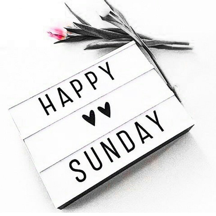 NaessNational's tweet photo. Happy Sunday everyone
-
Remember God is the maker of all things great and powerful.
-
In all situations, give thanks to God 🙏
#NAESS #NAESSNational #HappySunday https://t.co/DMwl1ZZg68
