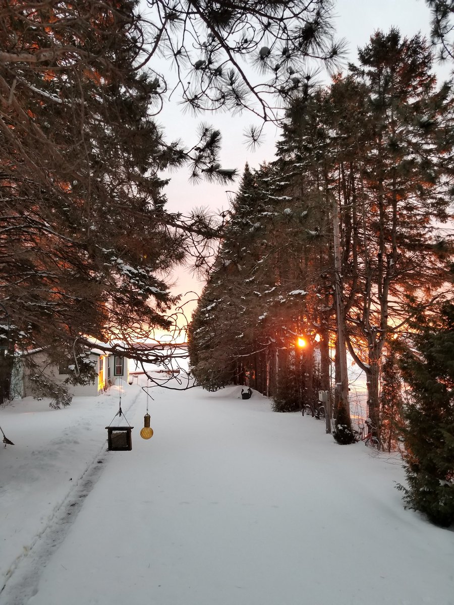 UPTreefarmer's tweet photo. Good Morning from #DecompressU #Airbnb #Chassell #RusticCabinwithSauna and #RoomNearMichiganTech #Keweenaw #upperpeninsula #PureMichigan #sunrise https://t.co/Nv1Y7kPCGW