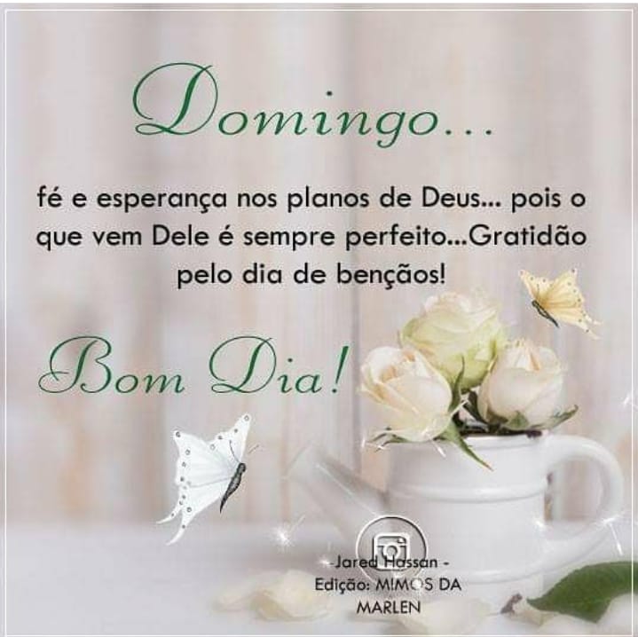 Thay Argolo Beta lab (@niarathainan) on Twitter photo 