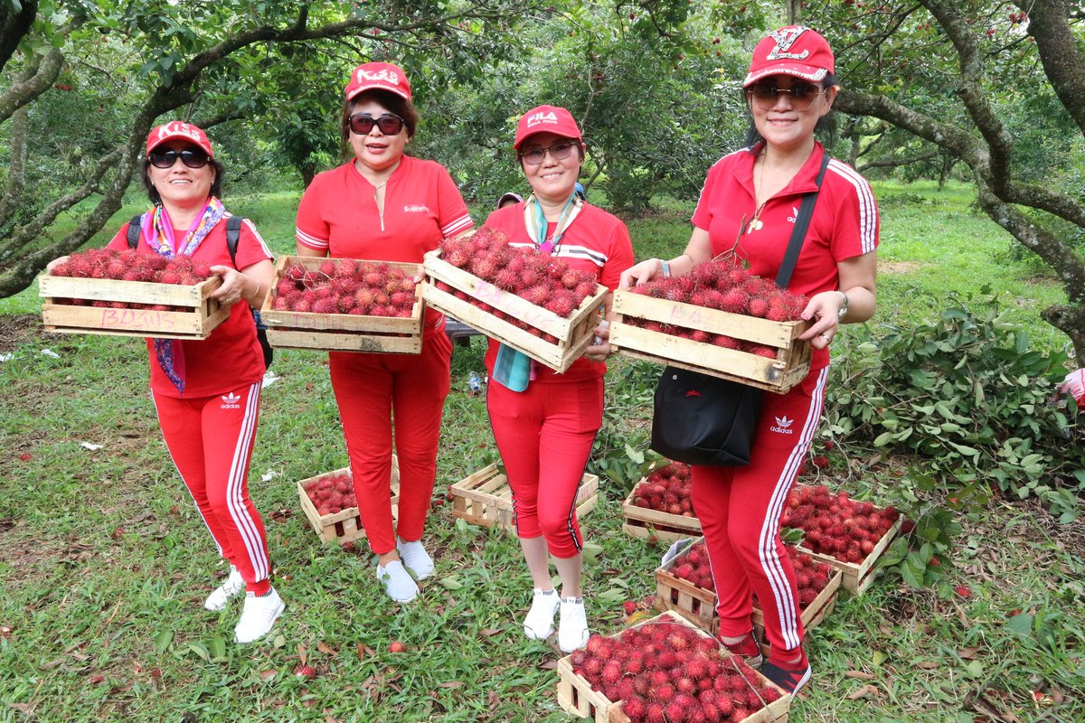 Taman Buah Mekarsari A Twitter Yeeaayy Minggu Ceria