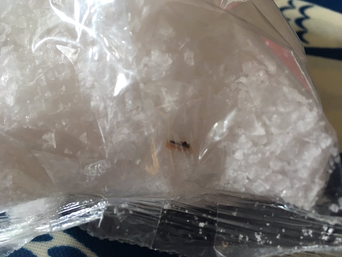 leavesontrees's tweet photo. @maldonsalt Found a flake of something that doesn’t look like salt in this new bag, is it ok to use the contents? https://t.co/56NSnINwrh