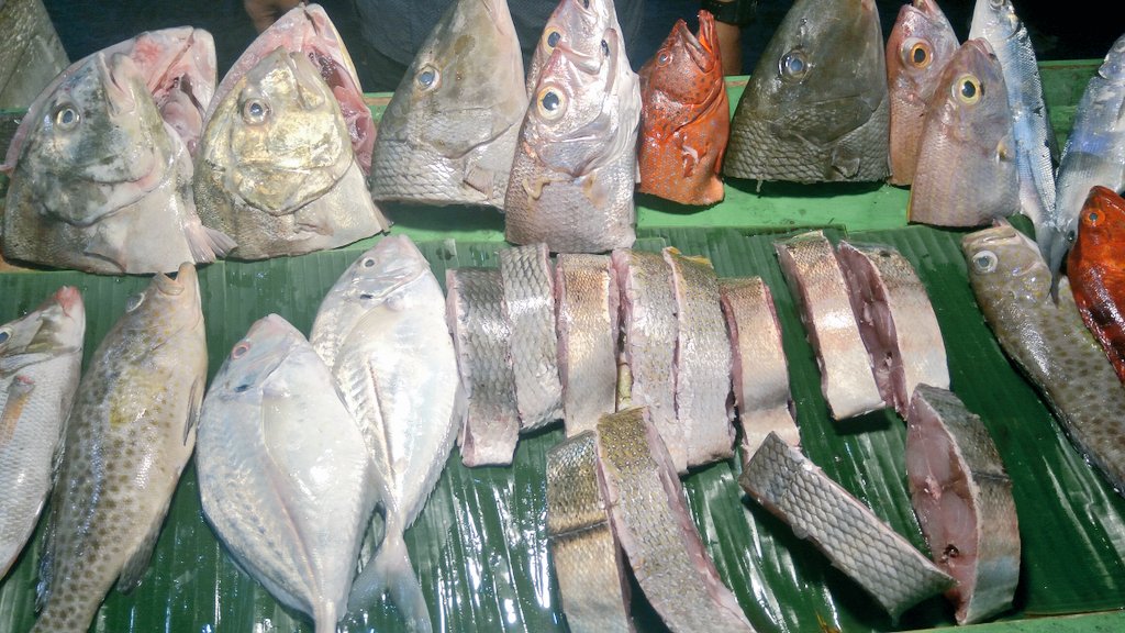 FRHcheko's tweet photo. Lapor bu @susipudjiastuti 
Bulan pertama tahun 2019 ini seminggu penuh saya makan ikan segar di Palu. #PaluBangkit https://t.co/wPteCGQyLm